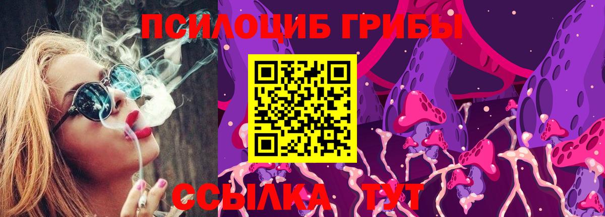 Псилоцибиновые грибы Cubensis Волхов