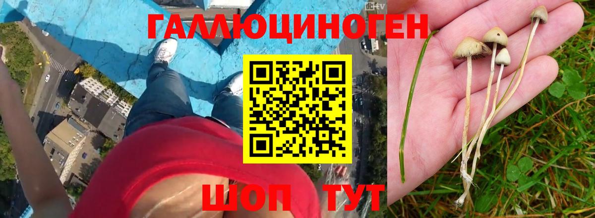 Псилоцибиновые грибы Magic Shrooms  Вход с VPN  Волхов 